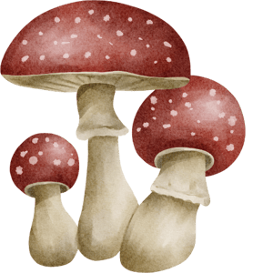 Un grand champignon rouge et blanc poussant dans la forêt, un symbole de la magie discrète de la forêt